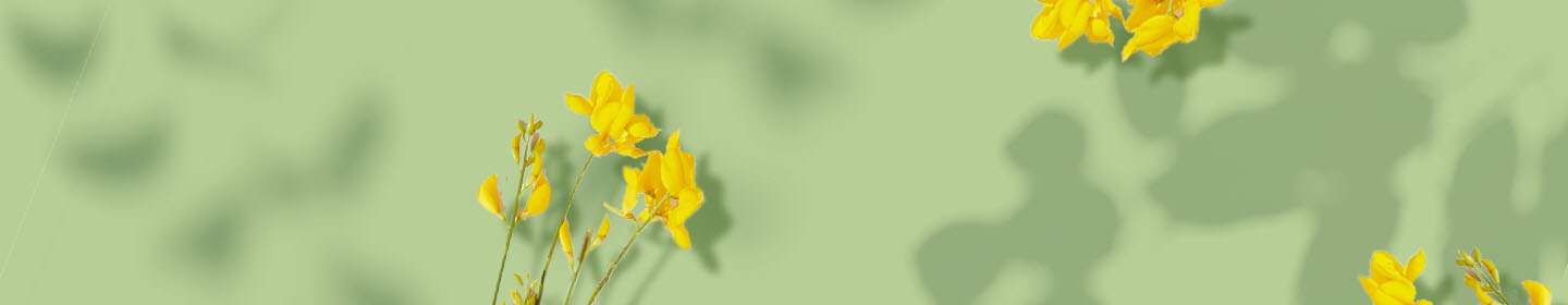 Le teint "seconde peau"